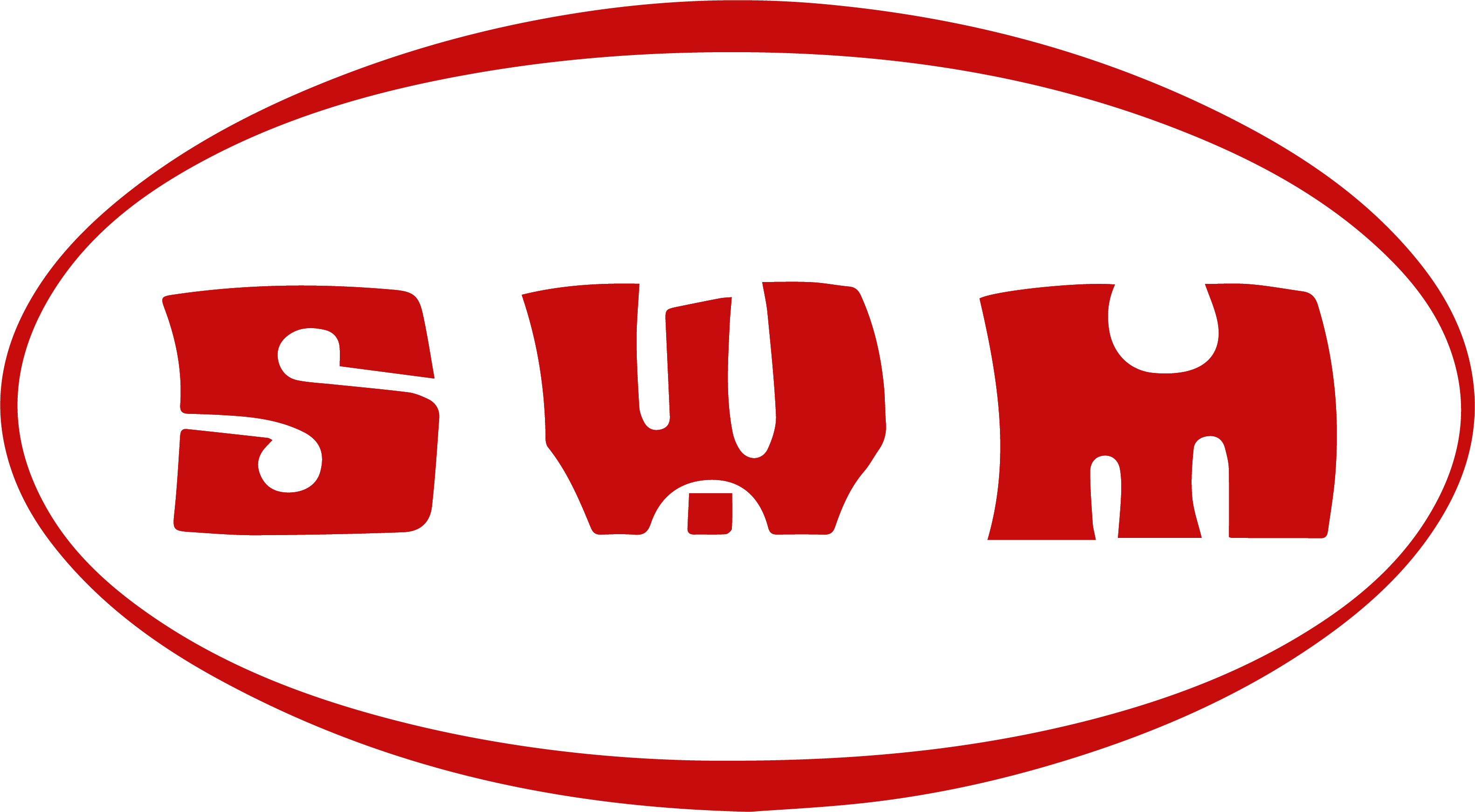 SWM Motorcycle